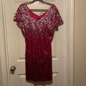 NWT Maner Pink Ombré Dress